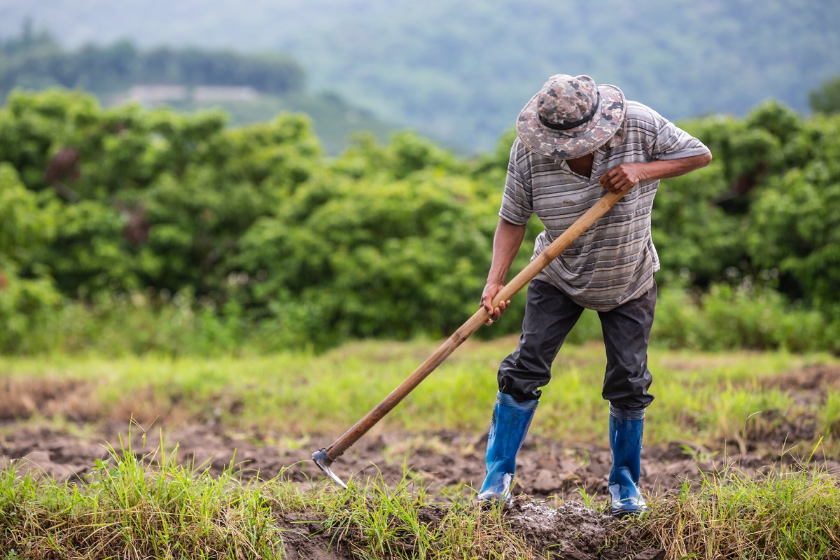 5 vantagens de um projeto de restauração florestal em propriedades rurais