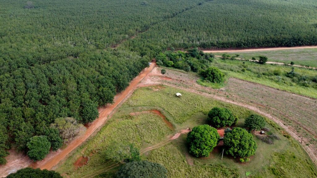 O potencial econômico da restauração ambiental em propriedades rurais
