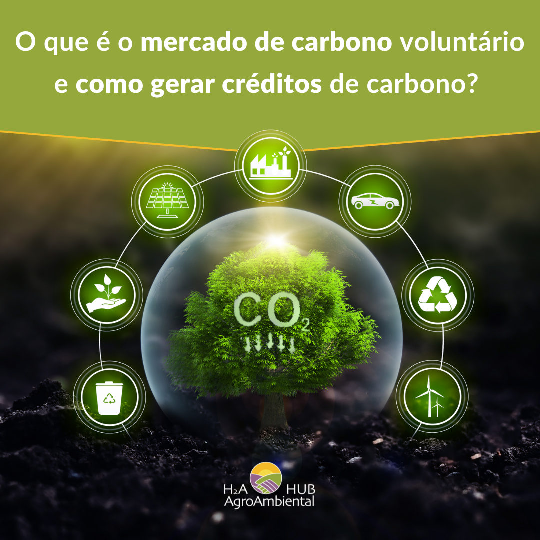 carbono voluntário