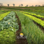 Agroecologia