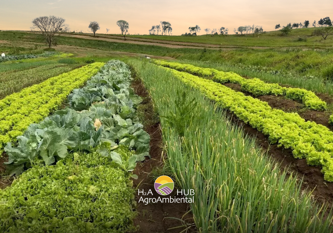 Agroecologia